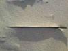 nadel im sand